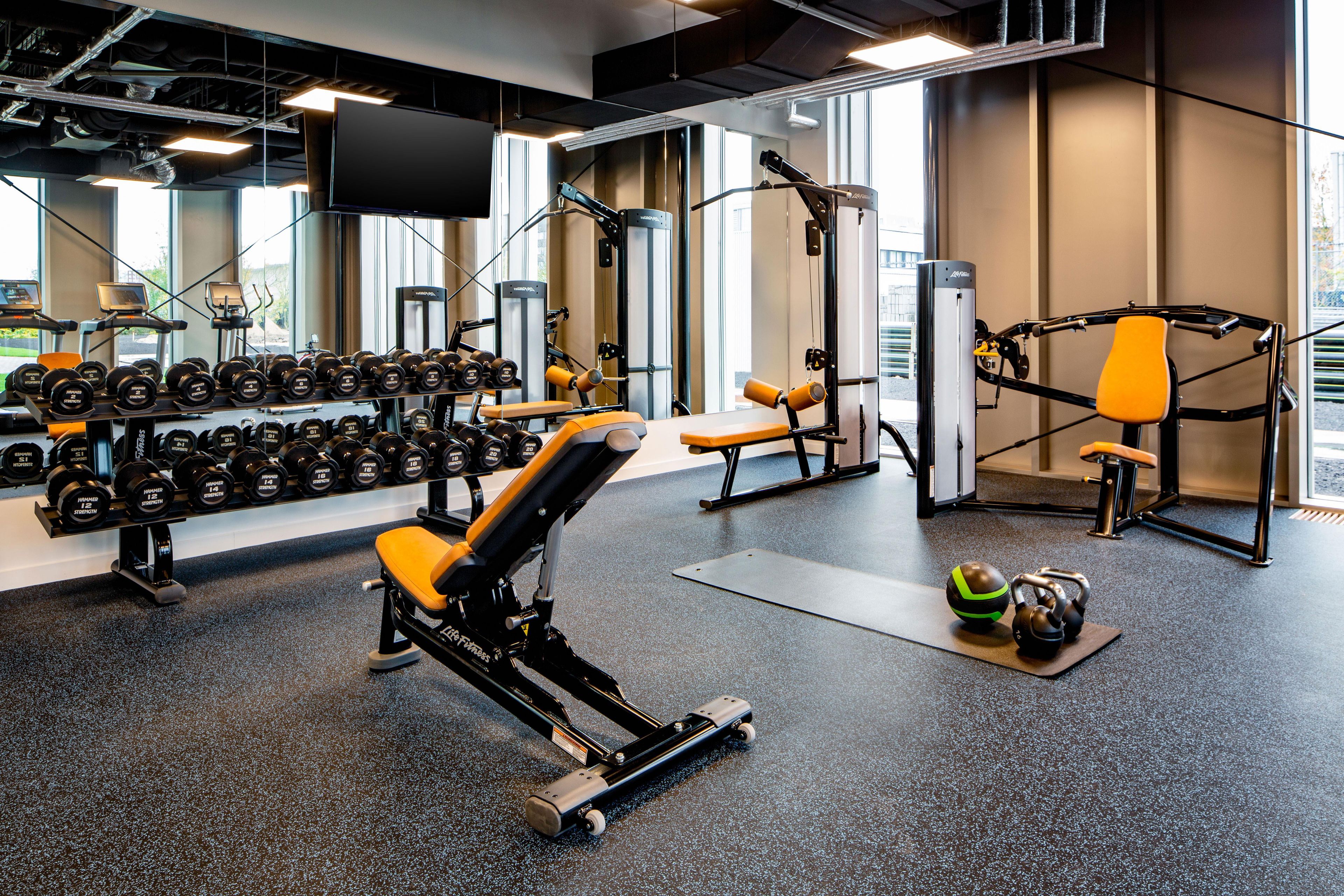 A gym with various exercise equipment, including dumbbells, benches, and a cable machine.