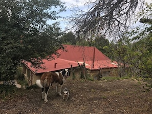 Exterior - Berg Cottage (Clarens)