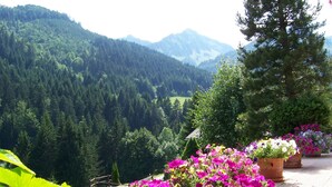 Un paisaje montañoso con bosques densos y un cielo despejado.