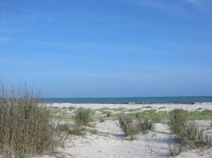 Strand