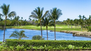 Een golfbaan met een vijver, palmbomen en een clubhuis op de achtergrond.