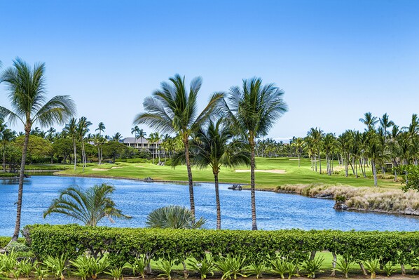 Golf - BBQ, New Air Conditioning and upgrades! (Waikoloa Village)