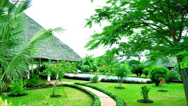 A lush garden with a curved pathway, thatched-roof structures, and various tropical plants. - Fabio House (Diani Beach)