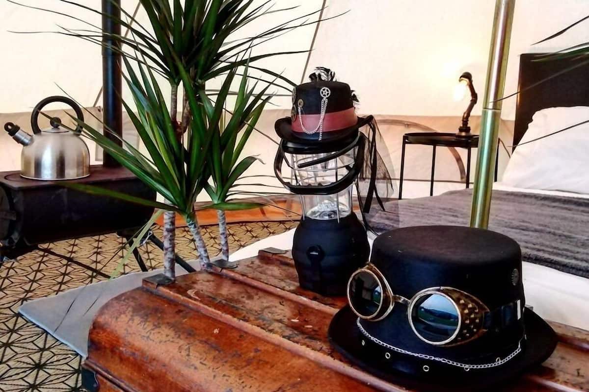 A room with a bed, a suitcase, a plant, a kettle, and a lamp.