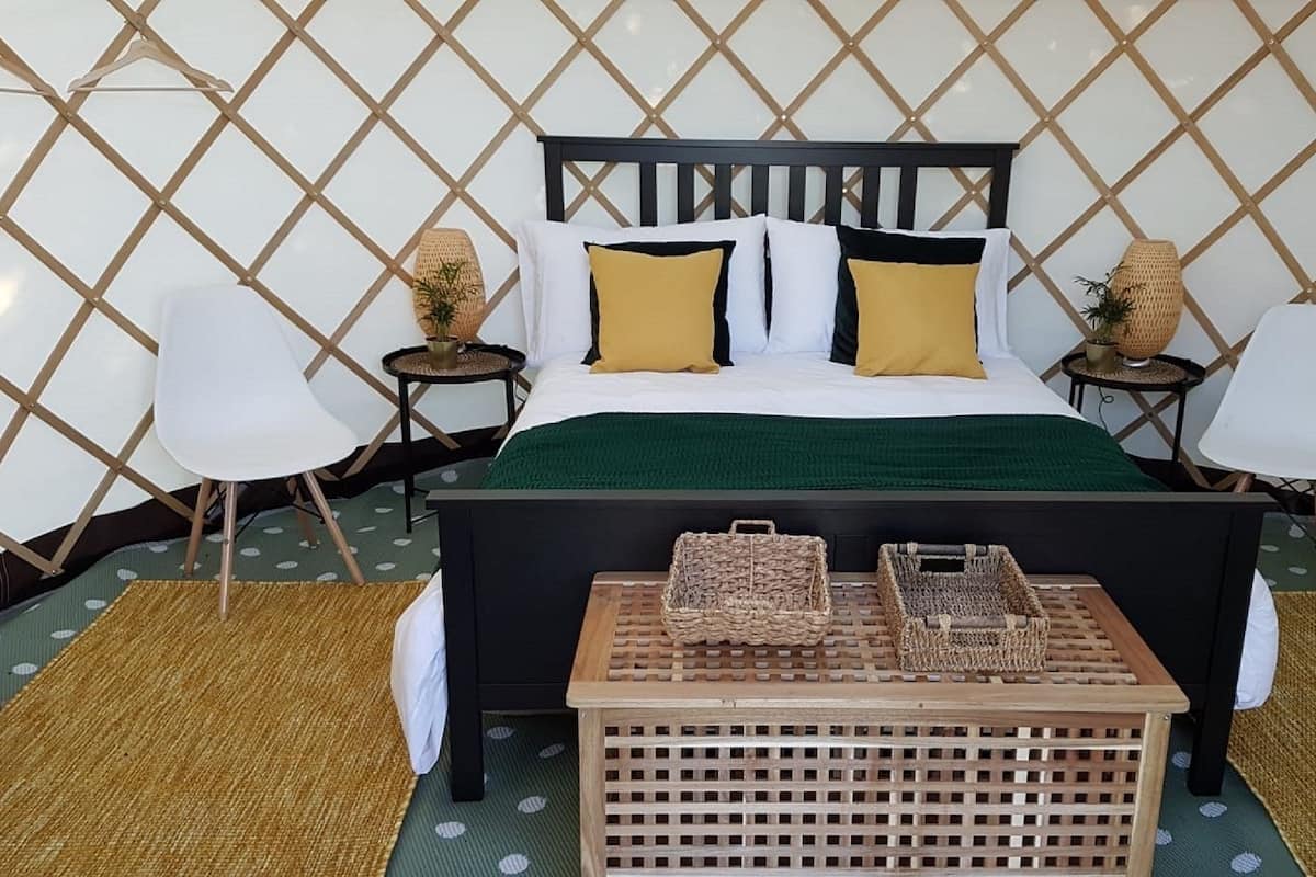 A bed with a black headboard, white and mustard pillows, and a green blanket. There are two nightstands with lamps and small potted plants. A woven basket and a crate are on the bed.