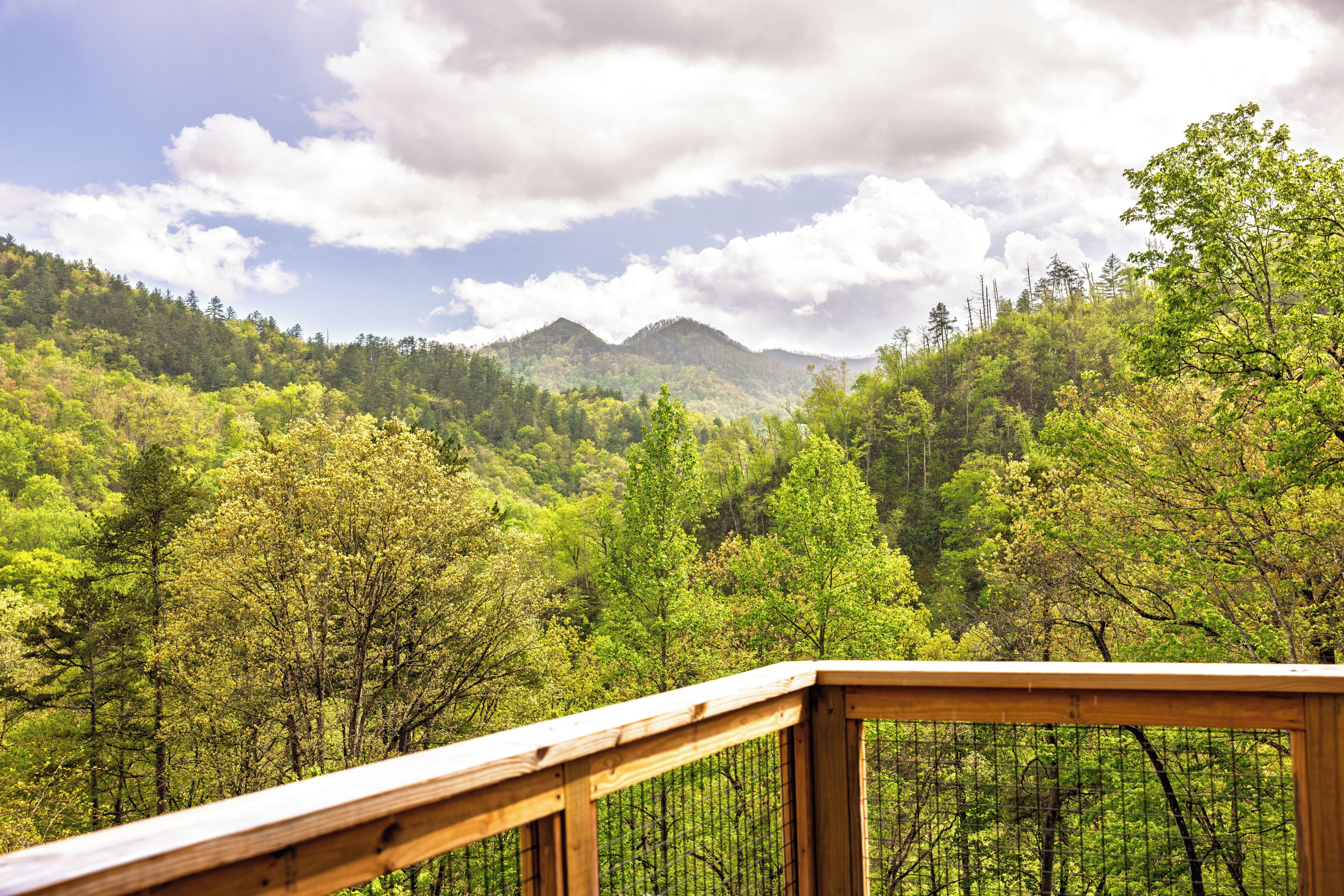 Una terraza de madera con vistas a un paisaje montañoso cubierto de bosque.