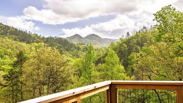 Una terraza de madera con vistas a un paisaje montañoso cubierto de bosque.
