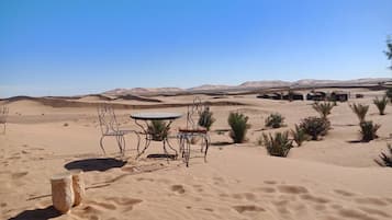 Terras