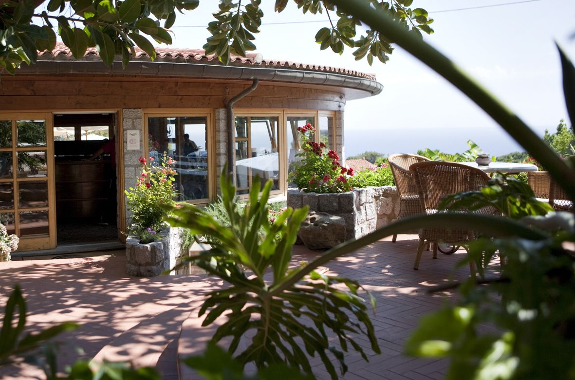 A building with a curved roof, large windows, and a patio area with wicker furniture and potted plants.