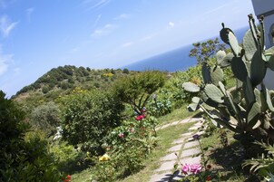 Jardín