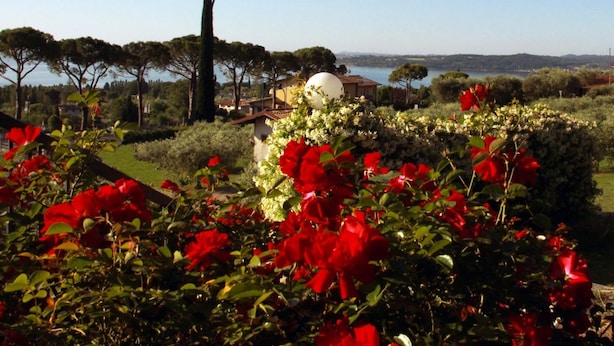 Un jardin avec des rosiers rouges, d’où l’on peut admirer un lac et des collines lointaines.