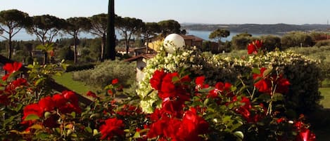 Apartment, 1 Bedroom, Lake View | Garden view