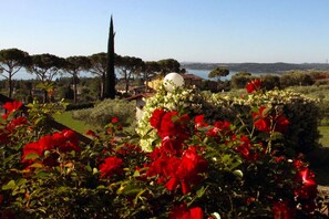 Apartment, 1 Bedroom, Lake View | Garden view - Agriturismo Nonna Bettina (Moniga del Garda)