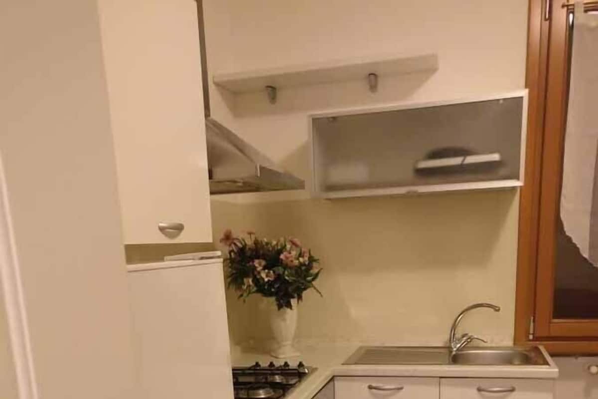Appartement, 1 slaapkamer, uitzicht op meer | Privékeuken | Een broodrooster, een bakplaat, een mixer, een vriezer