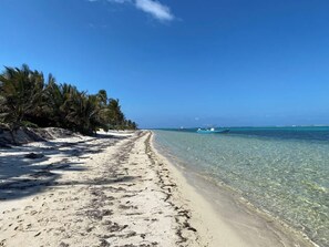 A beach with clear turquoise water, a sandy shore, and a line of palm trees.