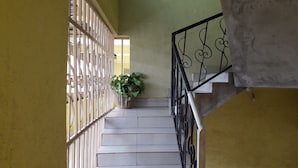 Un escalier avec des marches blanches et des rampes noires, une plante en pot sur le palier et un mur jaune.