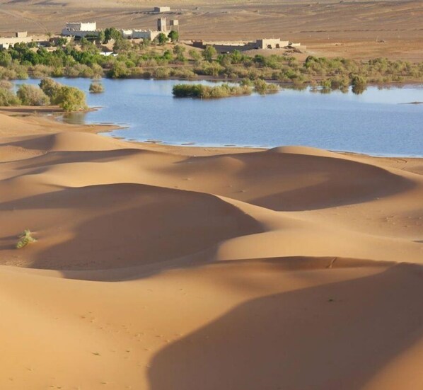 A desert landscape with sand dunes and a body of water in the background. - KASBAH YASMINA HOTEL (MERZOUGA)