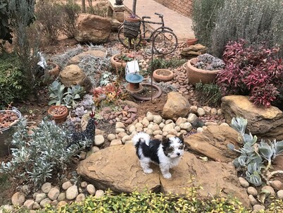 Clarens Butterfly  Beds Villa