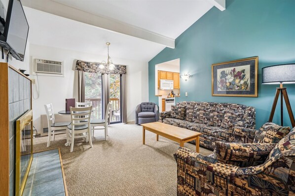 TV, fireplace, books, video library