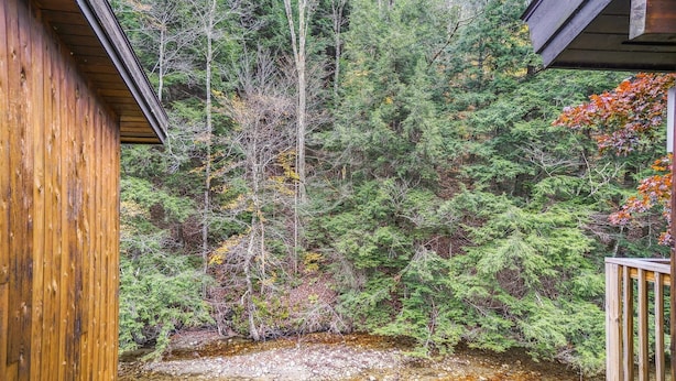 Eine Holzhütte mit Blick auf bewaldetes Gebiet und einen Bach.