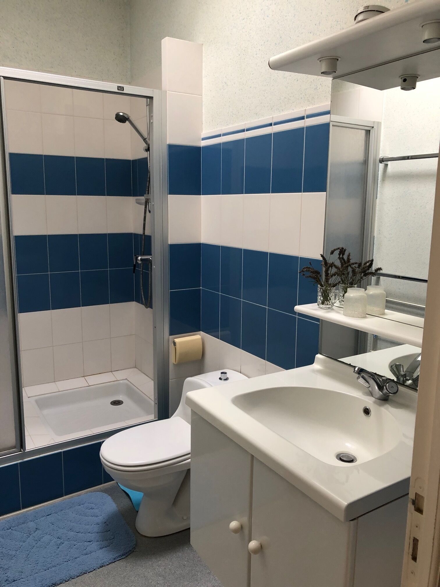Een badkamer met douche, toilet, wastafel en spiegel.