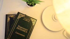 Two books titled 'Francesco Petrarca Canzoniere' and a small potted plant on a table.