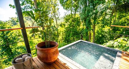 The Green House - Santa Teresa