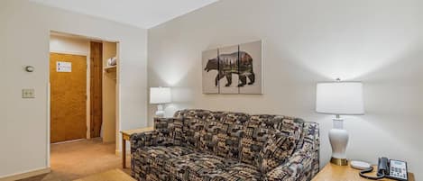 Queen Pull out Sleeper Sofa