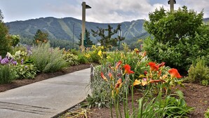 A garden pathway with various plants and flowers, a concrete path, and a backdrop of mountains. - The One Everyone Wants in Building 3 at Mountain Green: 1BR, Newly Renovated! (Killington)