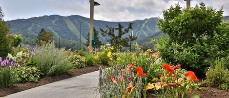 Overnattingsstedets uteområder