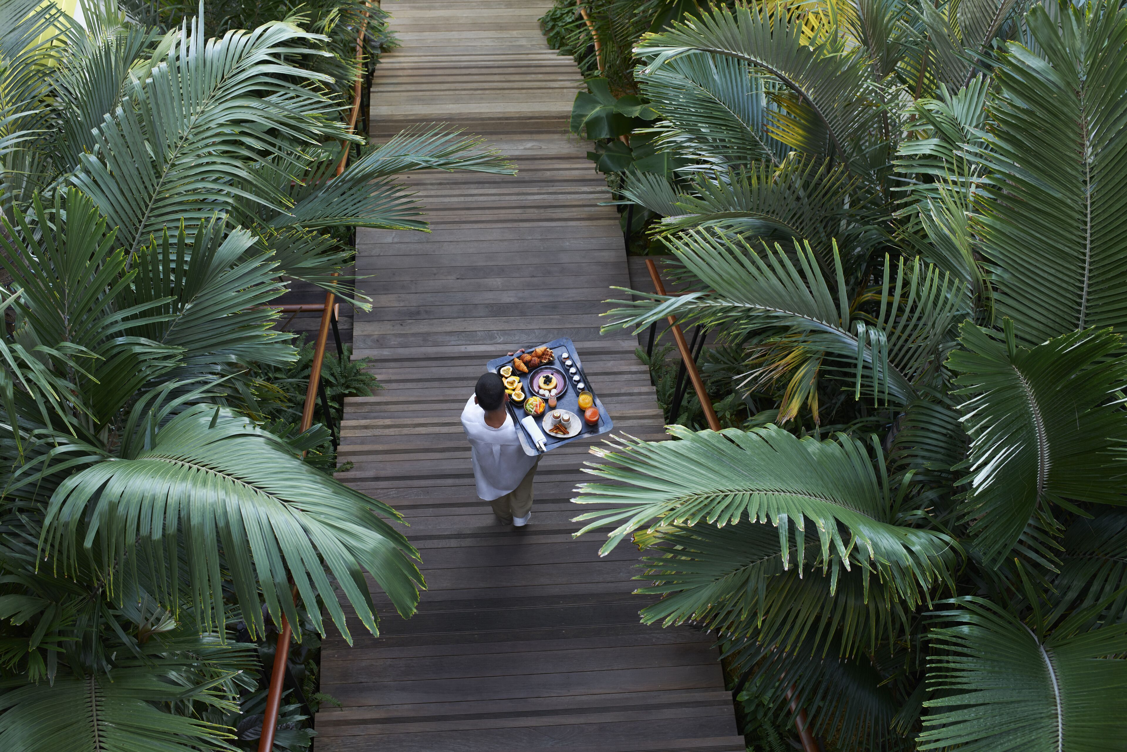 A person walking on a wooden pathway surrounded by large green palm trees.