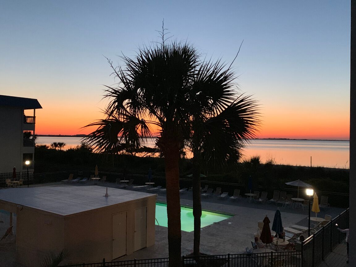 Un espace piscine avec des chaises longues et des parasols, un palmier, et une vue sur le coucher de soleil sur l’eau.