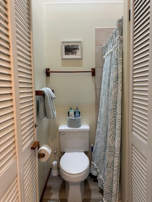 Shower, hair dryer, towels, shampoo - 1 Bdrm w/ocean view in Kona.Walk to Turtle Beach,Ali'i Gardens Mkt&Kona Trolley  (Kailua)