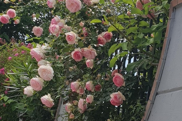 Außendetails