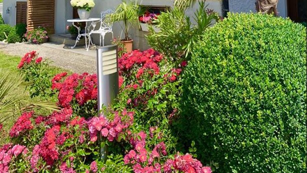 Edifici de dues plantes amb un balcó, un petit jardí amb flors i una palmera.