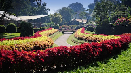 Jardín. Niru Residence