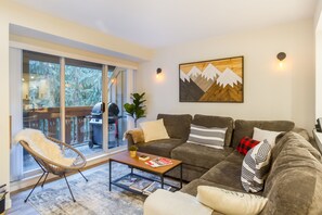 Smart TV, fireplace, books