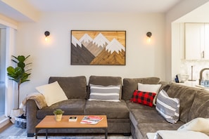 Smart TV, fireplace, books