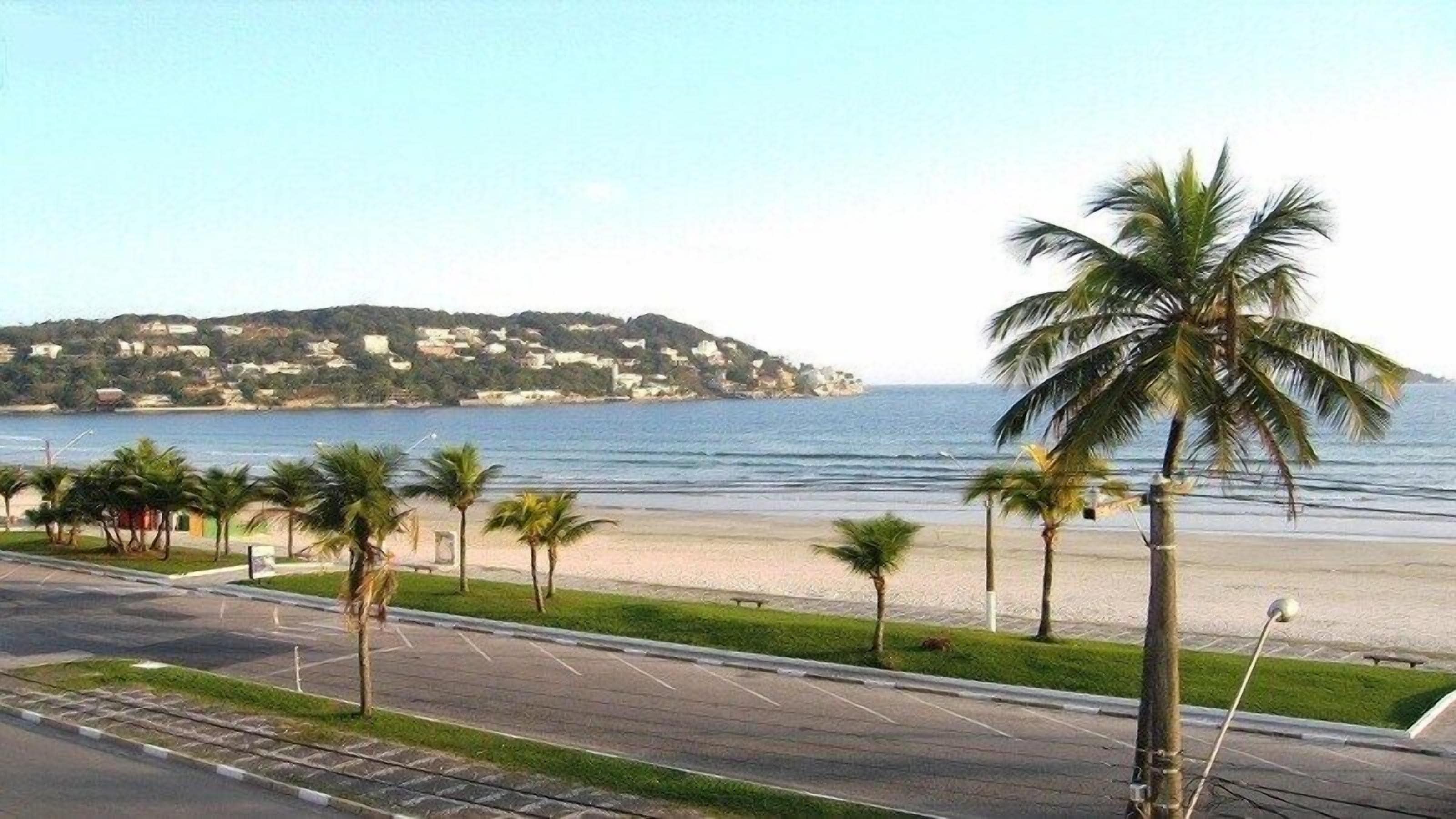 Una strada costiera con palme e una spiaggia sullo sfondo.