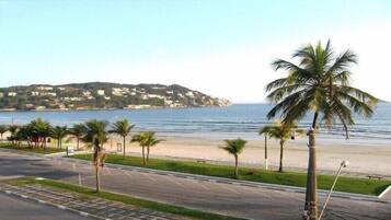 A coastal road with palm trees and a beach in the background.