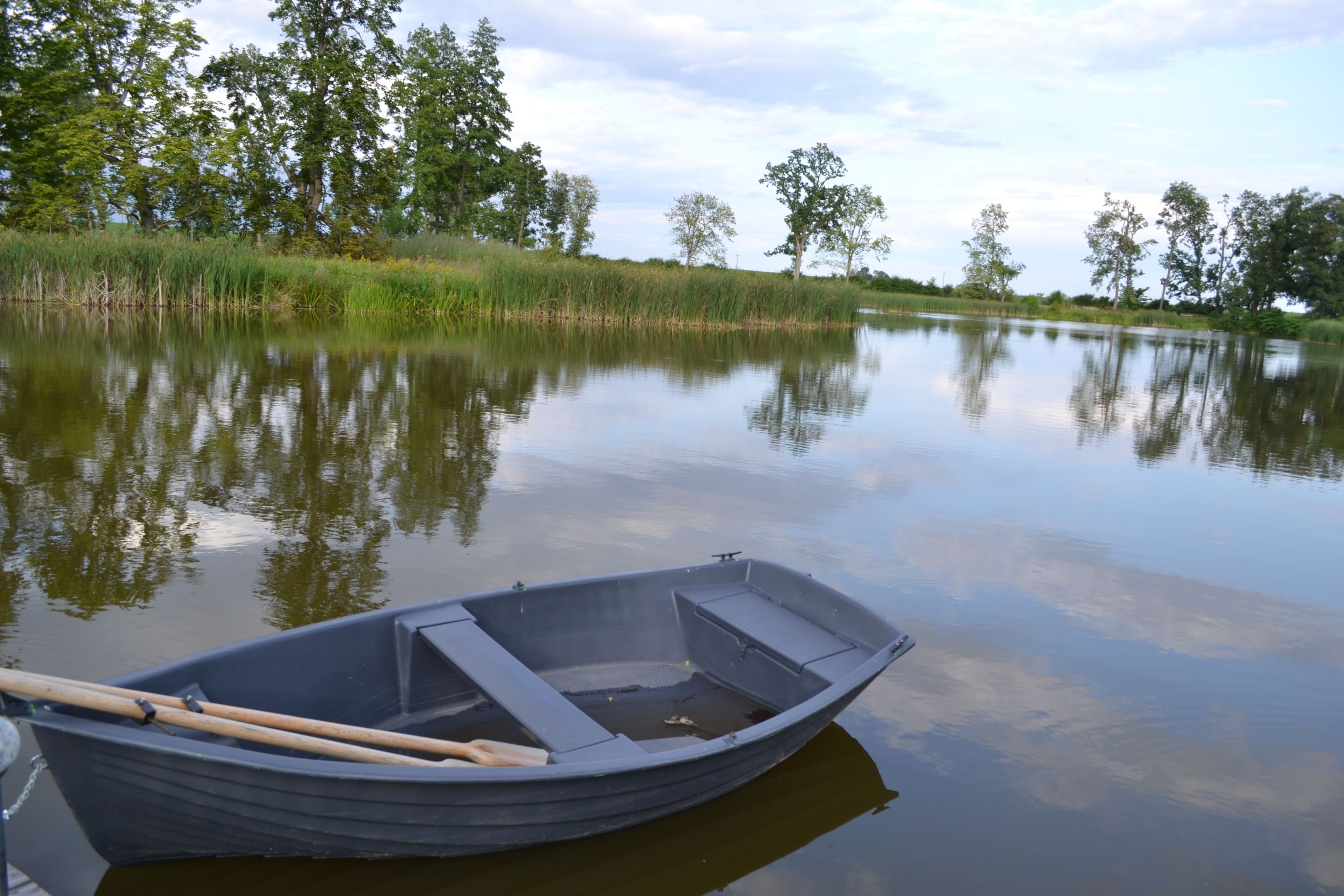 A small boat docked at a calm river with trees and reeds in the background.