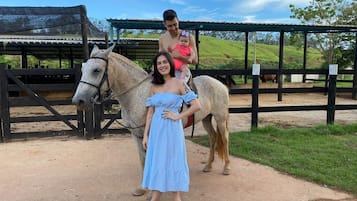 Uma pessoa em frente a um cercado de cavalos, com um abrigo coberto ao fundo.