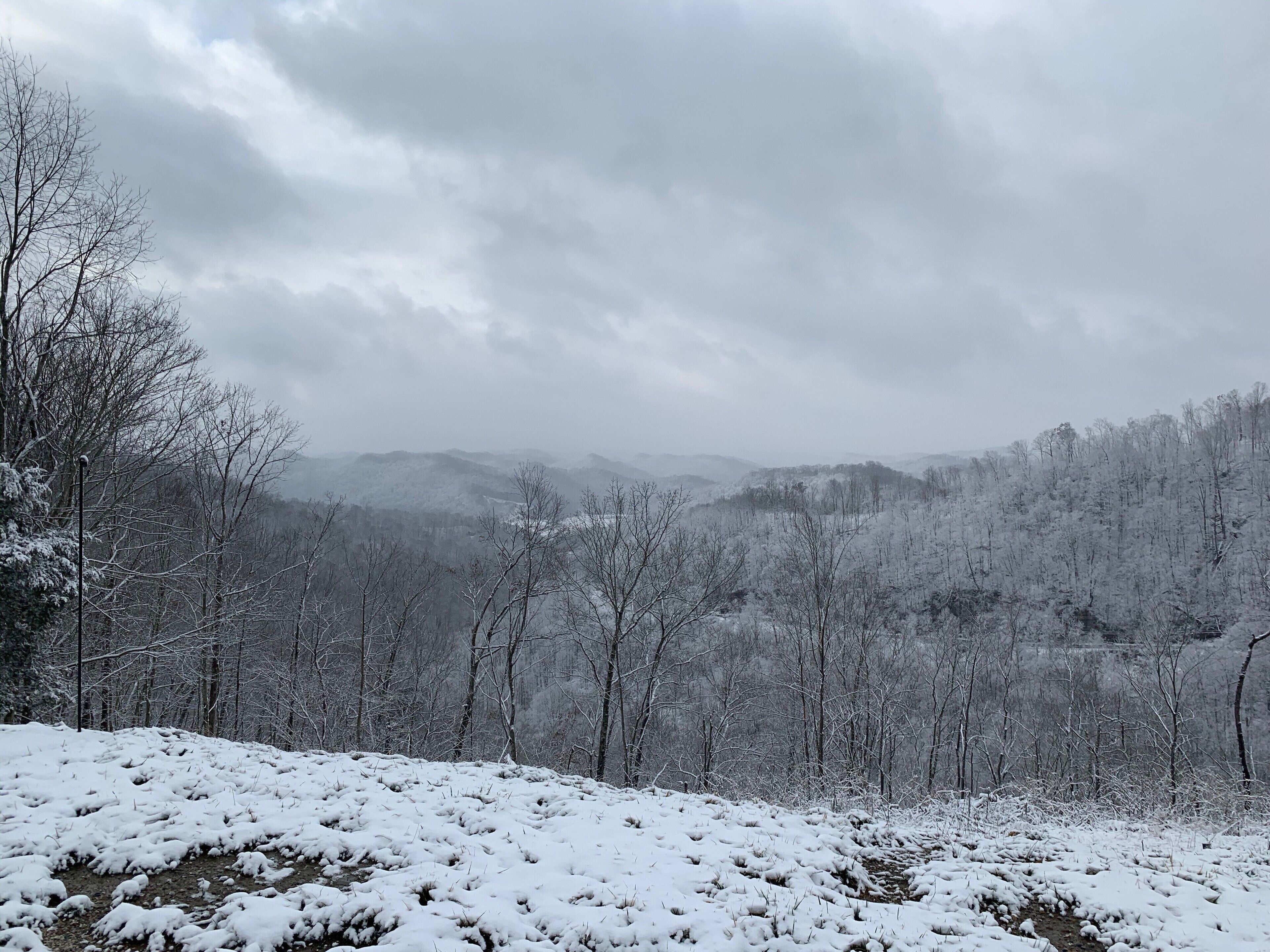 A snowy landscape with bare trees and a cloudy sky.
