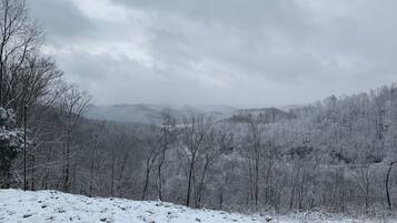 A snowy landscape with bare trees and a cloudy sky.