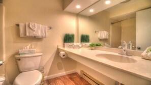Combined shower/tub, hair dryer, towels