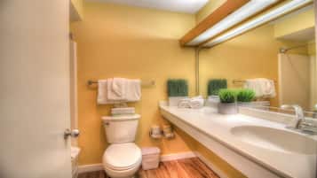 Combined shower/tub, hair dryer, towels