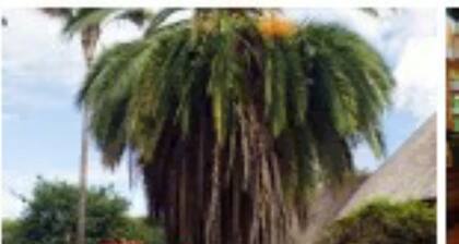 Farai One bedroom One bathroom