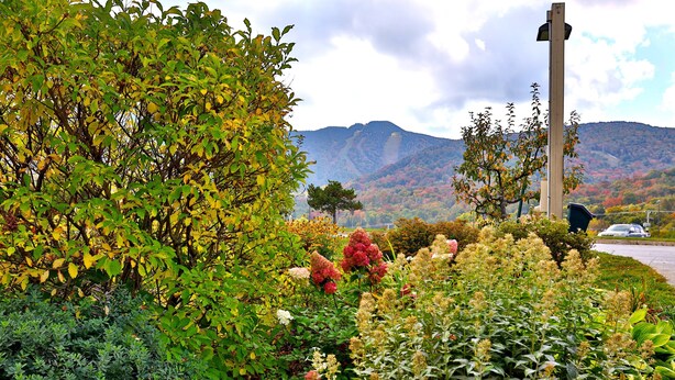 A garden with various plants and a wooden cross in the background. - Snowplace Like Home at Mountain Green 1BR/1BA (Killington)