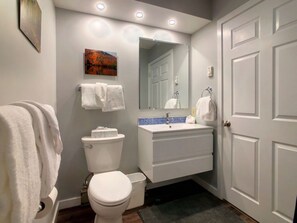 Combined shower/tub, hair dryer, towels