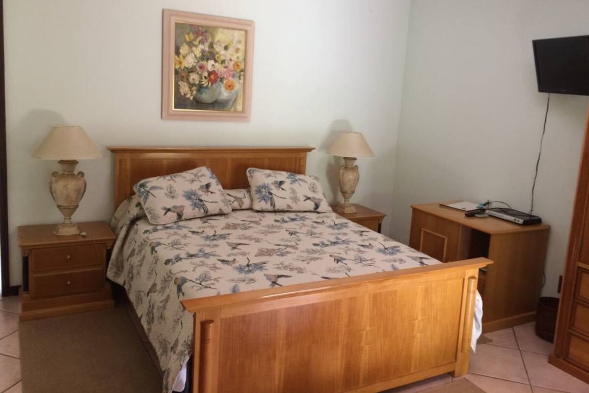 A bedroom with a wooden bed, two bedside tables with lamps, a painting on the wall, and a TV on the right.